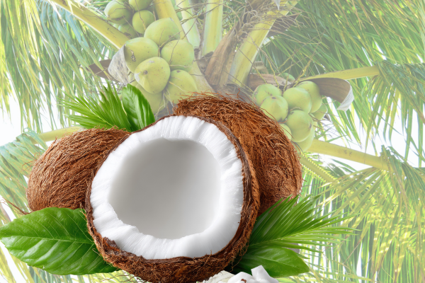 Coconut and selected coconut products